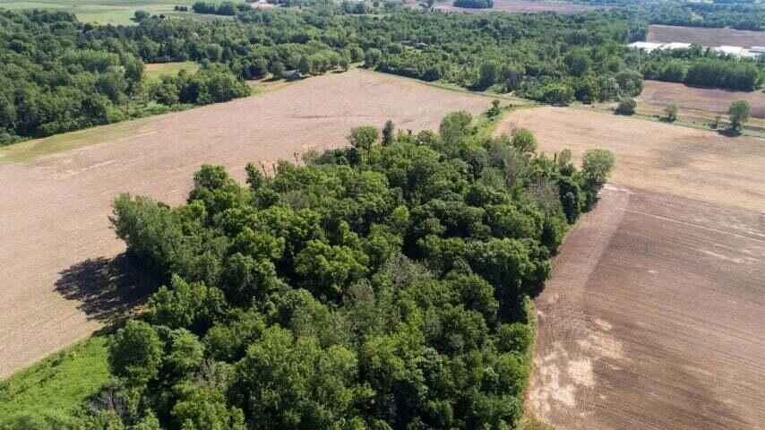 25-acres Garr Road Berrien Springs, MI 49103 - Photo 10 of 11 20220627235857706623000000-o
