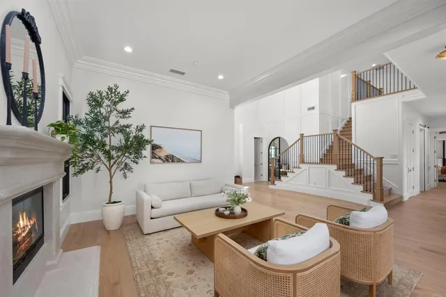 a living room with furniture a potted plant and a fireplace