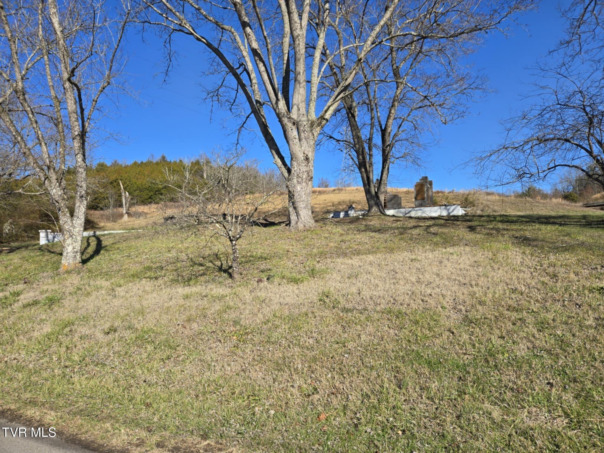 920 Roaring Fork Road Greeneville, TN 37745 - Photo 3 of 16 8c4c3468-1943-4b87-b232-620c82fd5837