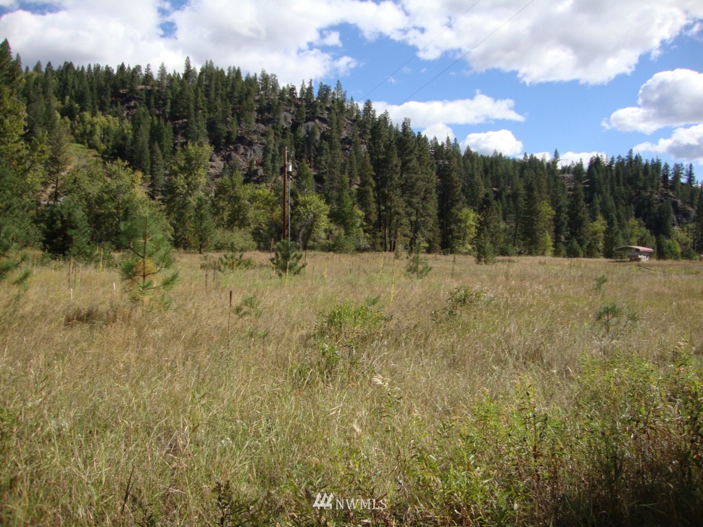 2 East Kettle River Road Curlew, WA 99118 - Photo 2 of 8 Gallery Image 2
