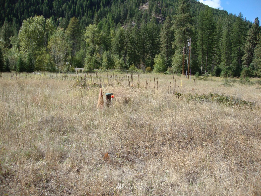 2 East Kettle River Road Curlew, WA 99118 - Photo 3 of 8 Gallery Image 3