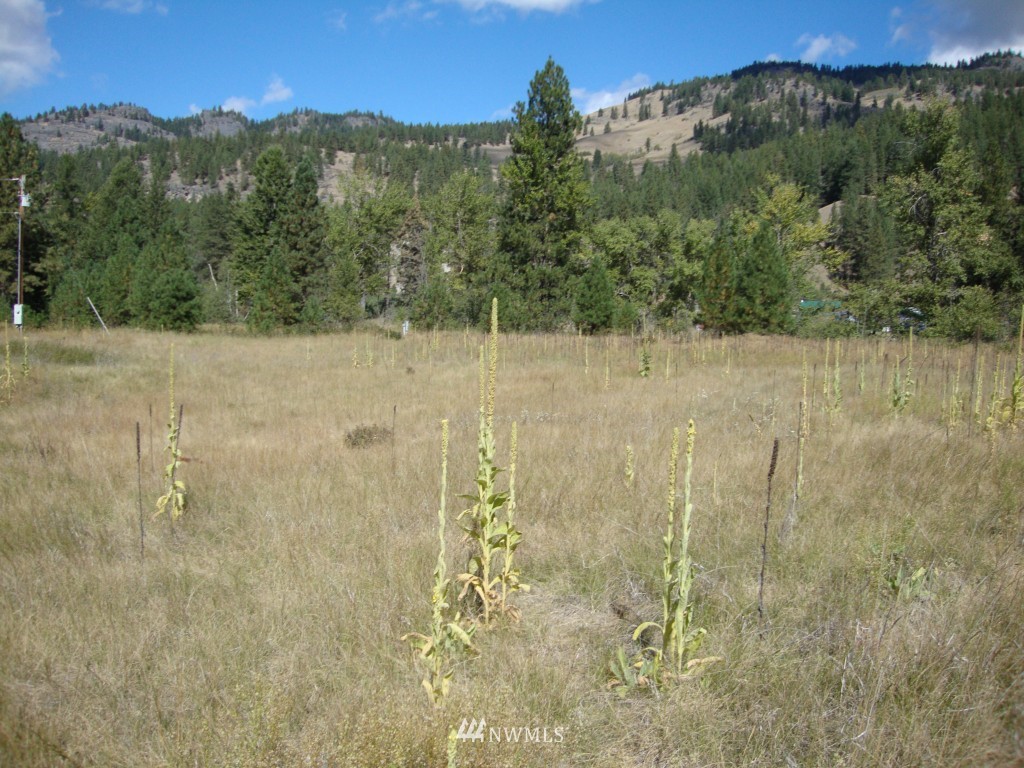 2 East Kettle River Road Curlew, WA 99118 - Photo 7 of 8 Gallery Image 7