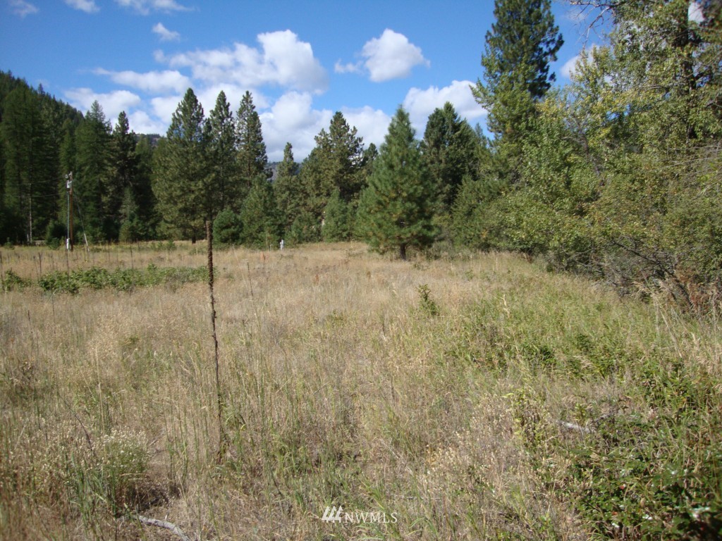 2 East Kettle River Road Curlew, WA 99118 - Photo 8 of 8 Gallery Image 8