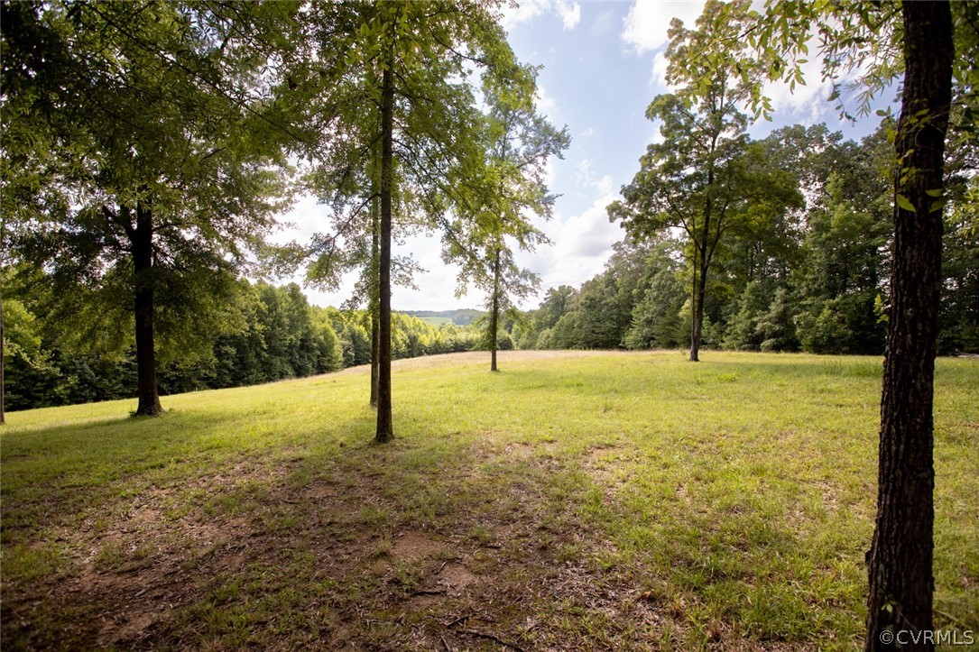 400 Meriwood Farm Road Farmville, VA 23901 - Photo 43 of 50 Gallery Image 43