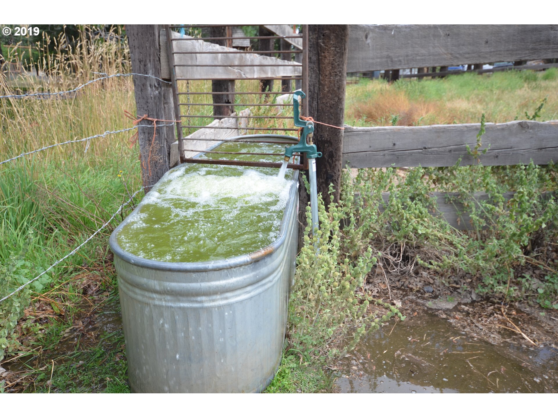 6918 Wells Road The Dalles, OR 97058 - Photo 16 of 31