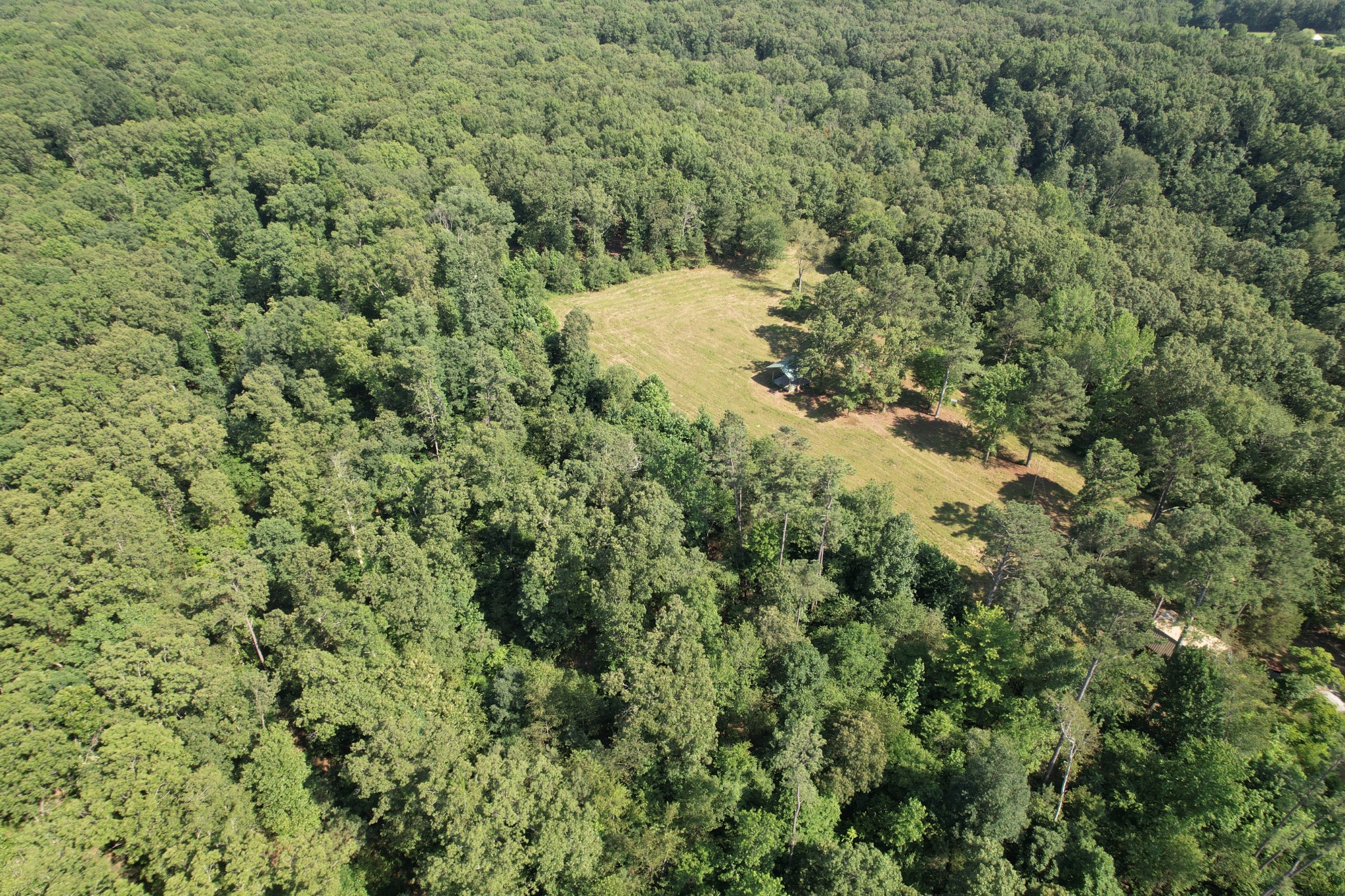 170 Webb Road Summertown, TN 38483 - Photo 16 of 39 a view of a yard with a small yard