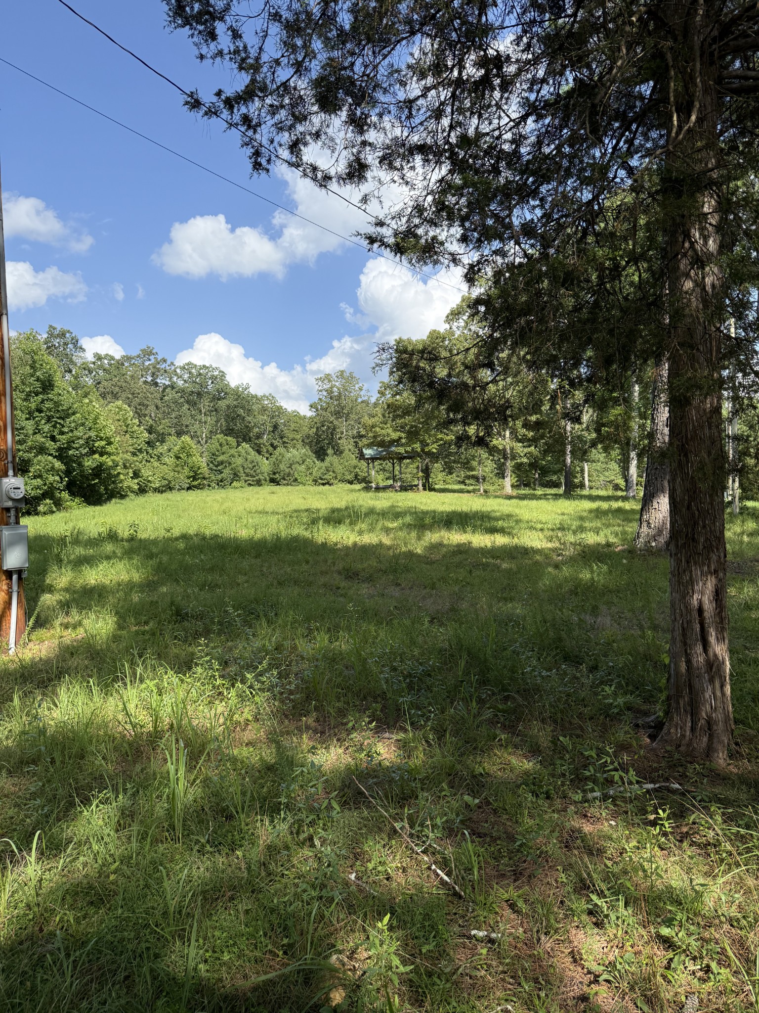 170 Webb Road Summertown, TN 38483 - Photo 24 of 39 a view of a grassy field with an trees