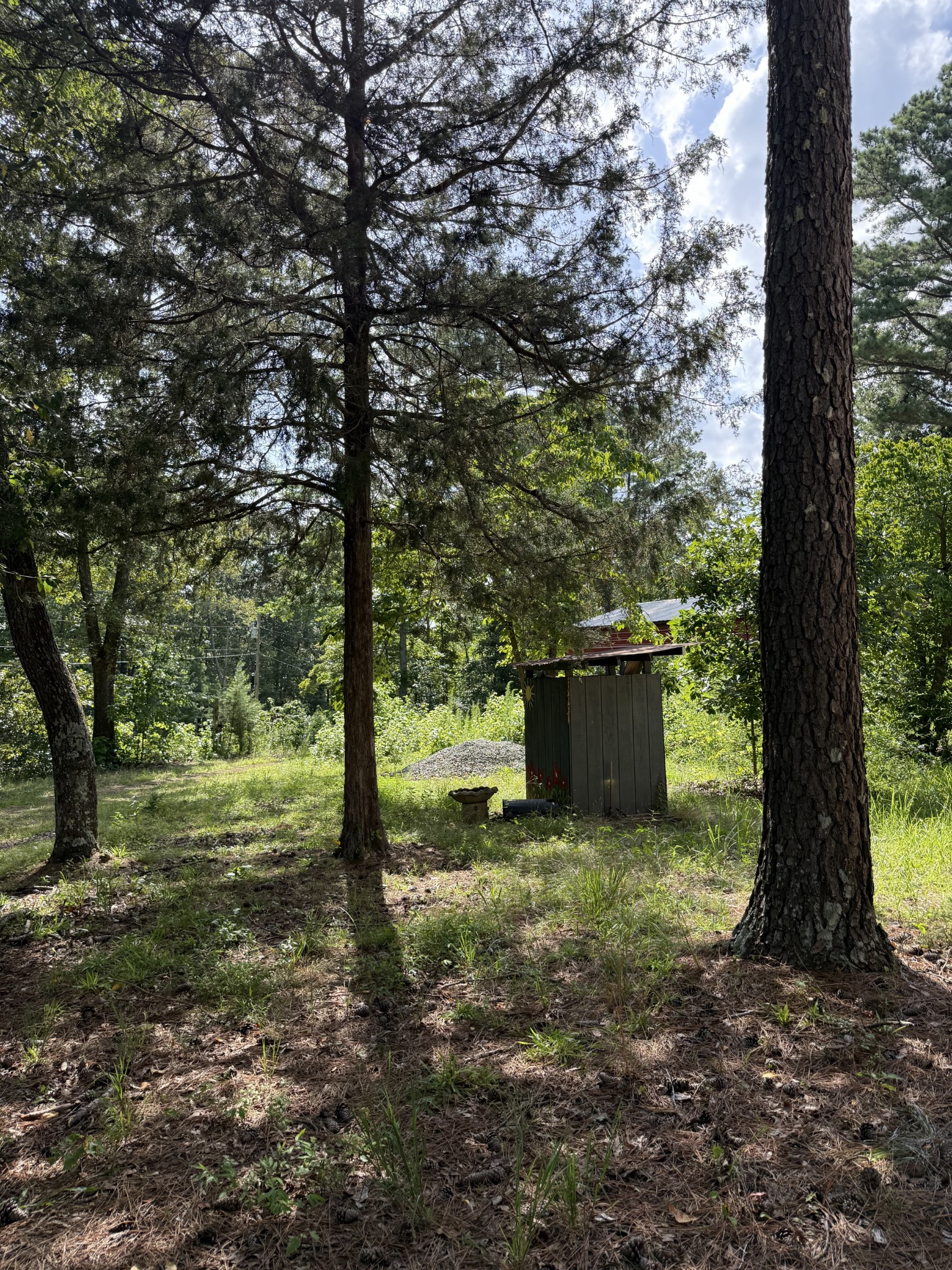 170 Webb Road Summertown, TN 38483 - Photo 27 of 39 a big yard with lots of green space and trees