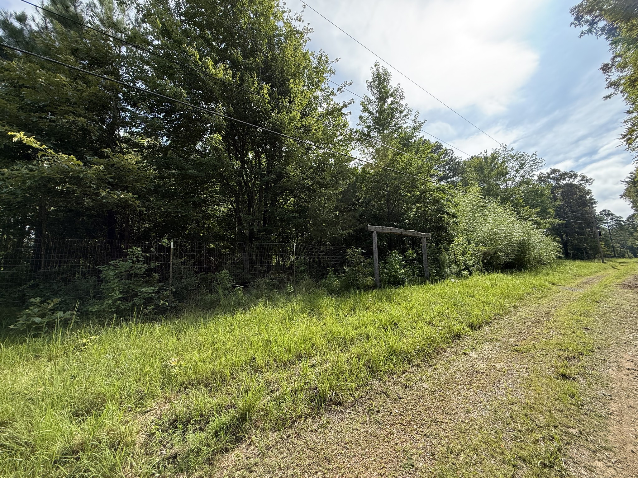 170 Webb Road Summertown, TN 38483 - Photo 31 of 39 a view of a garden