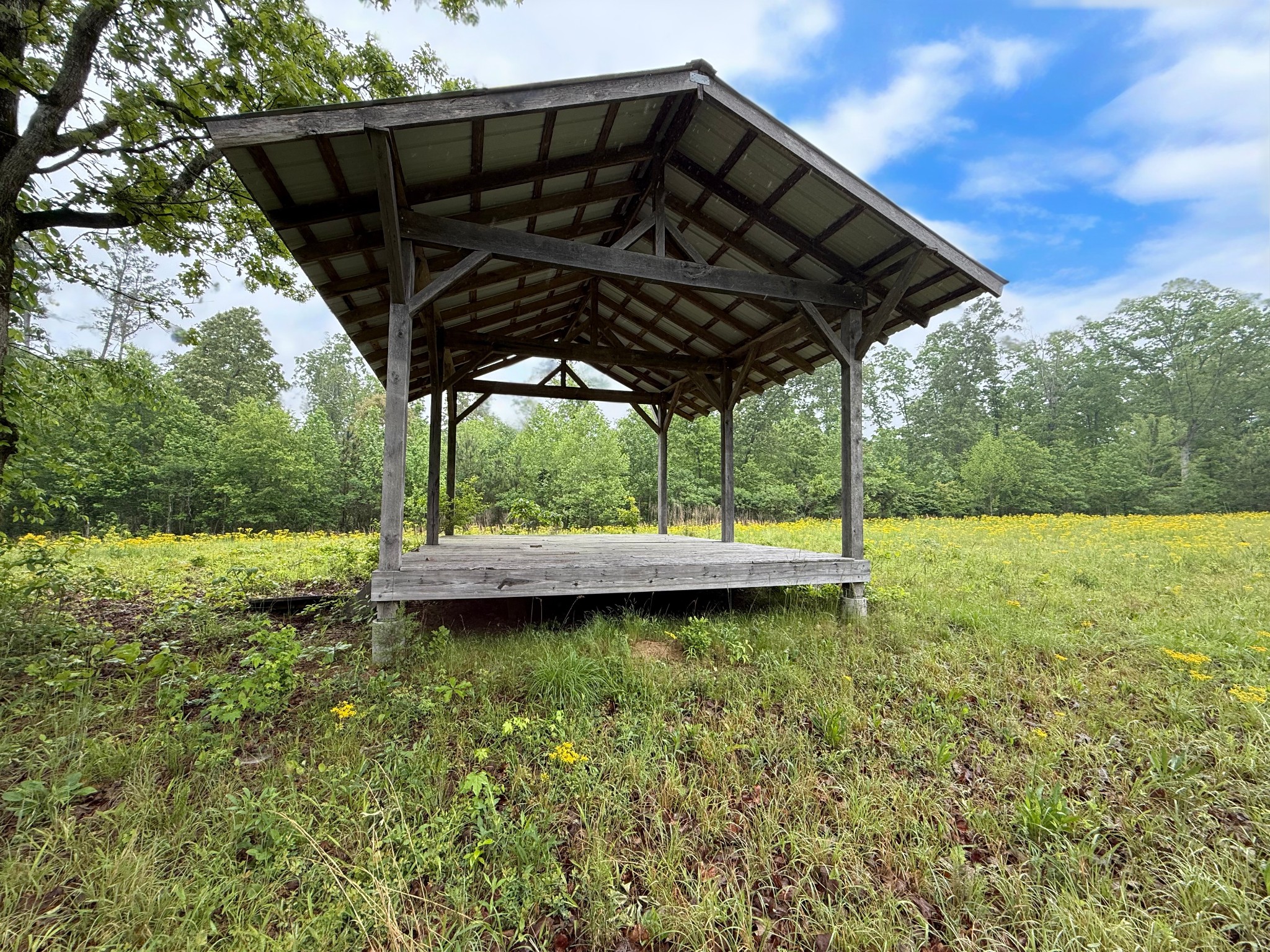 170 Webb Road Summertown, TN 38483 - Photo 34 of 39 a view of a backyard with wooden floor and a yard