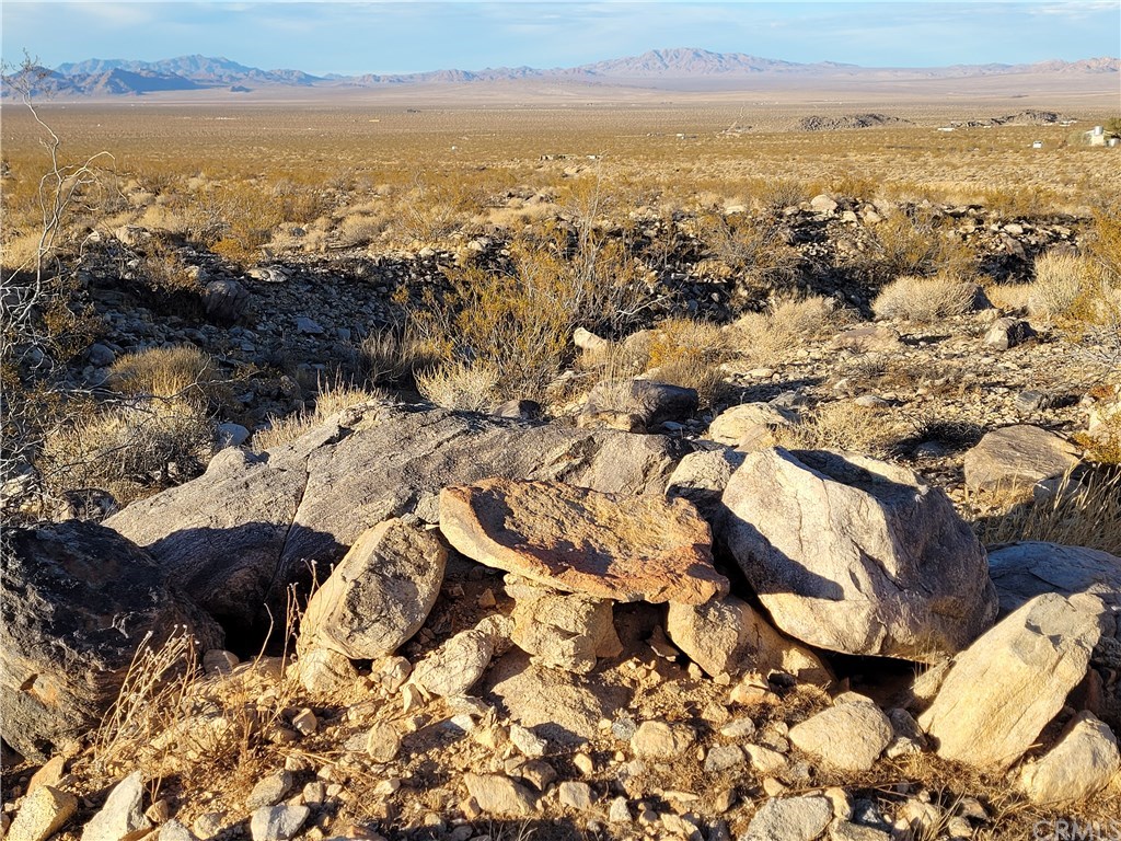 5-acres Cholla Road Johnson Valley, CA 92285 - Photo 1 of 1 Gallery Image 1