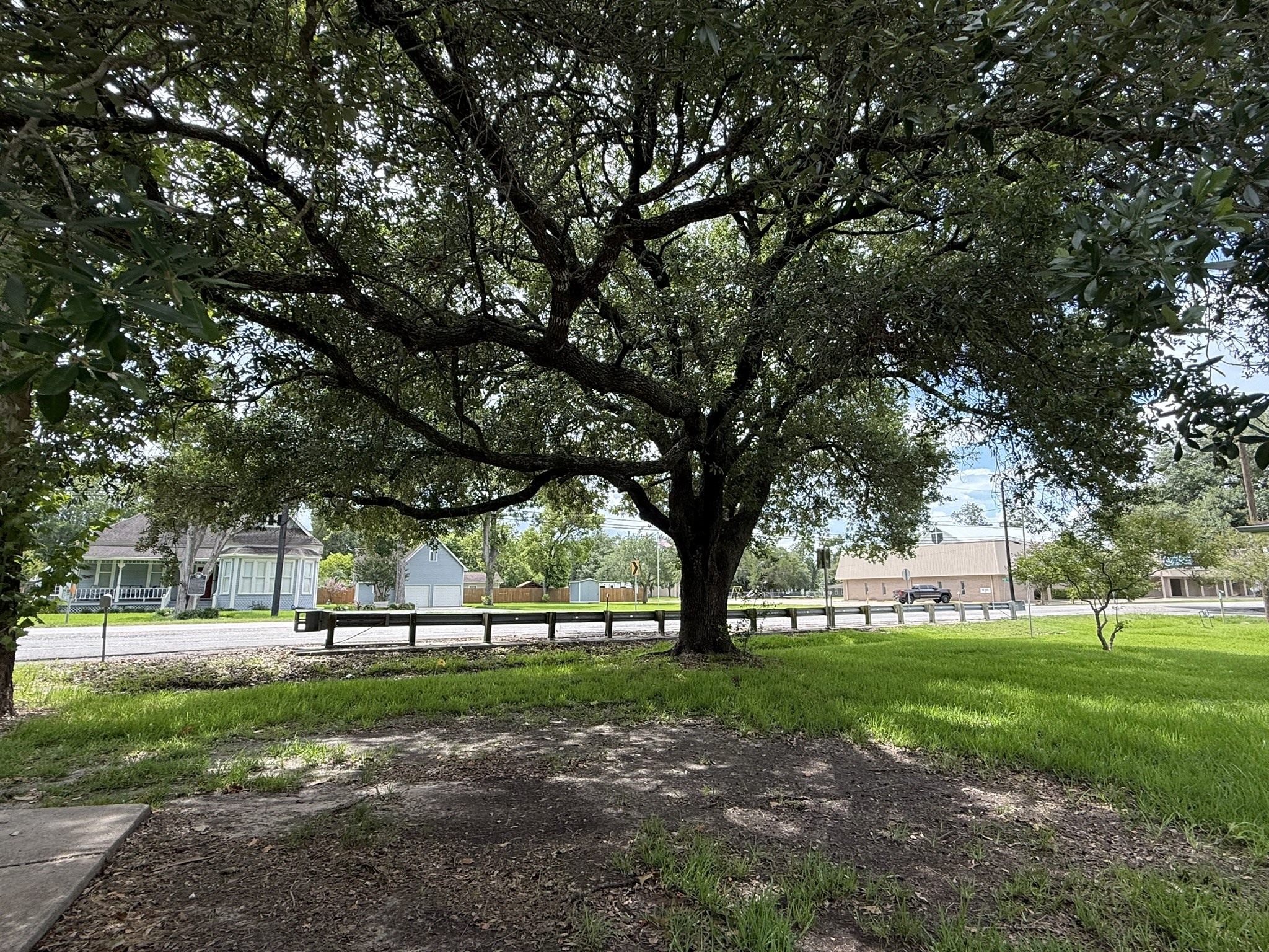 5525 Main Street Santa Fe, TX 77510 - Photo 33 of 36 Beautiful tree in the front yard