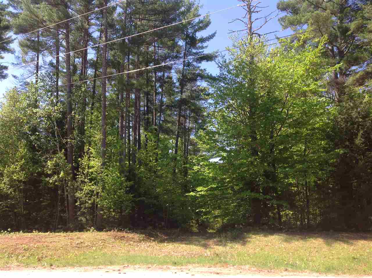 Lot 73 153rd Route Freedom, NH 03836 - Photo 3 of 6