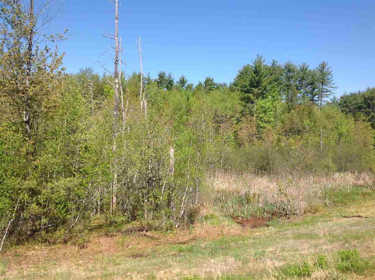 Lot 73 153rd Route Freedom, NH 03836 - Photo 4 of 6