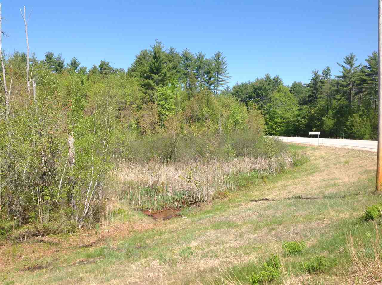 Lot 73 153rd Route Freedom, NH 03836 - Photo 6 of 6