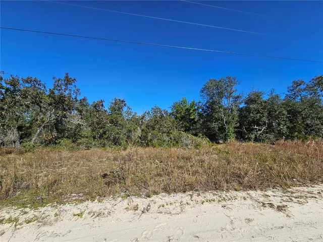 a view of a dry yard with trees