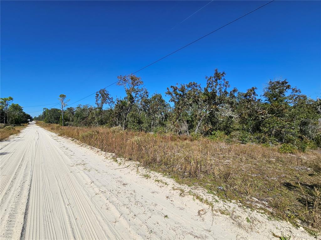Tbd Northeast 66th Lane Williston, FL 32696 - Photo 4 of 5