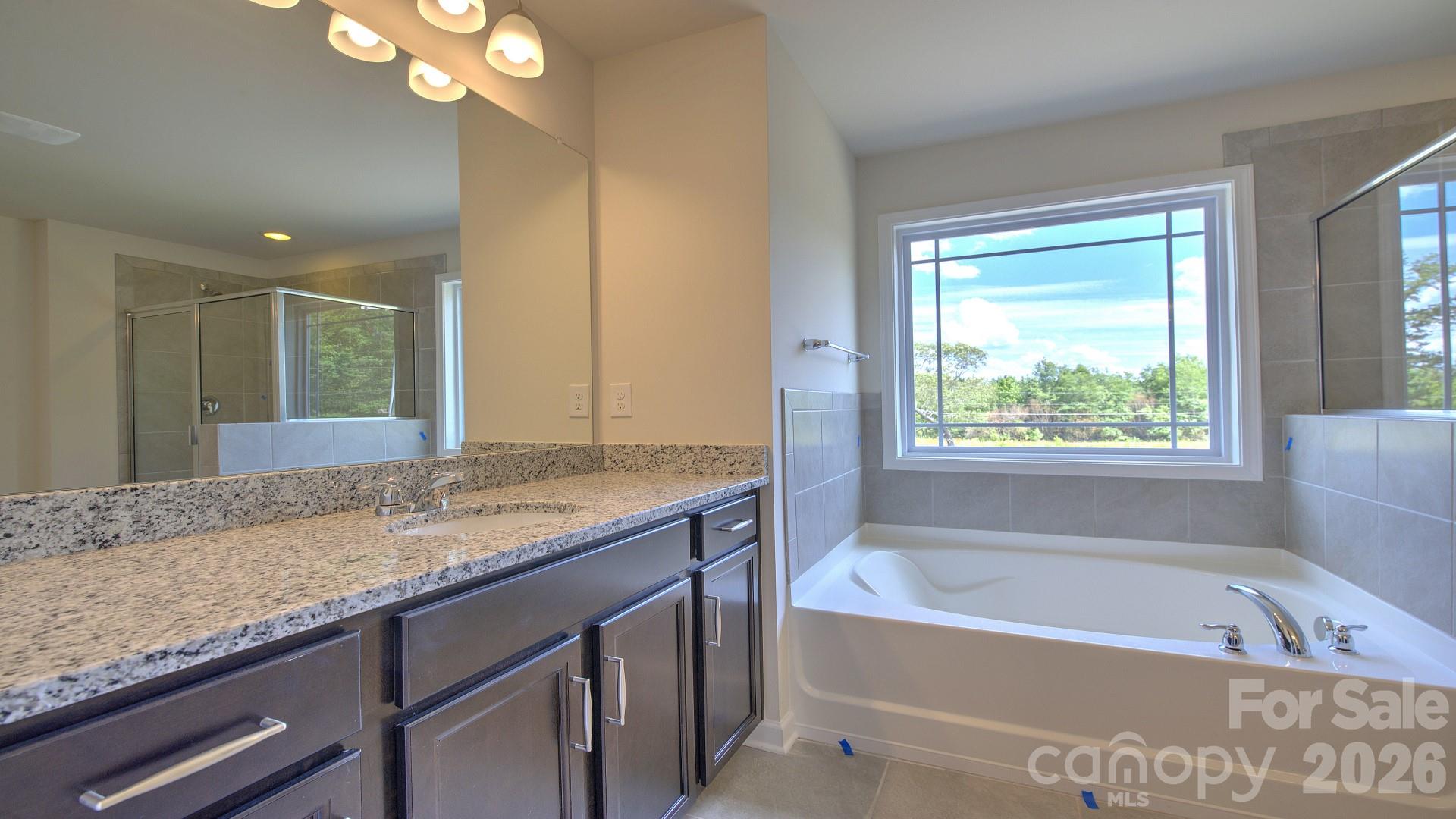 505 River Btm Road Fletcher, NC 28732 - Photo 17 of 20 a bathroom with a granite countertop bathtub a sink and a large mirror