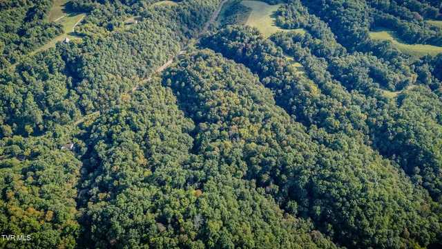 $228,600 | Undisclosed Address, Piney Flats, TN 37686