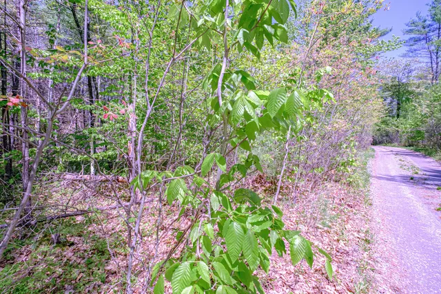 $225,000 | Lot 22 King Street, Oxford, ME 04270