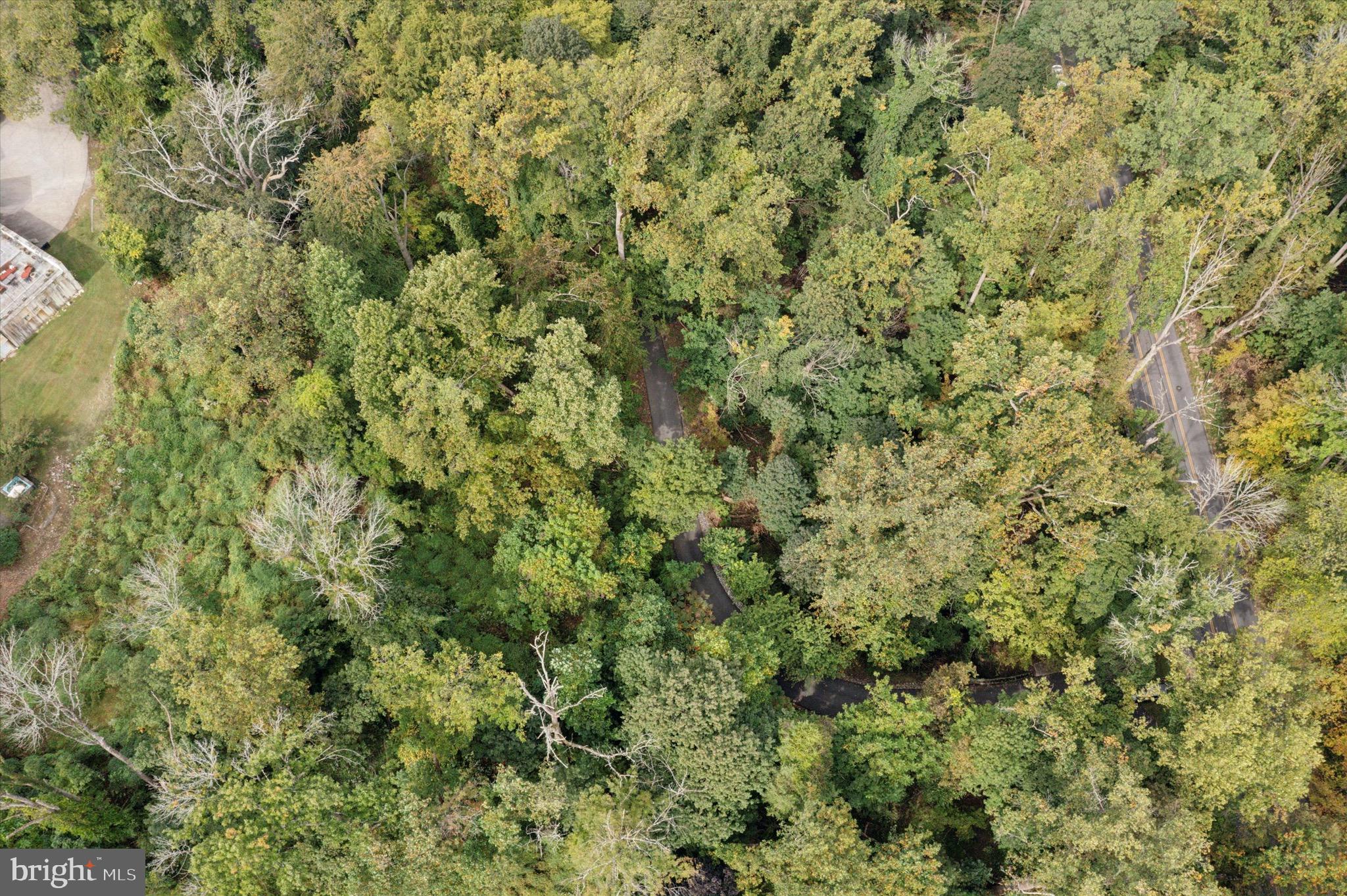 1968 Montgomery Avenue Villanova, PA 19085 - Photo 7 of 9 a view of a big yard with plants and wooden floor