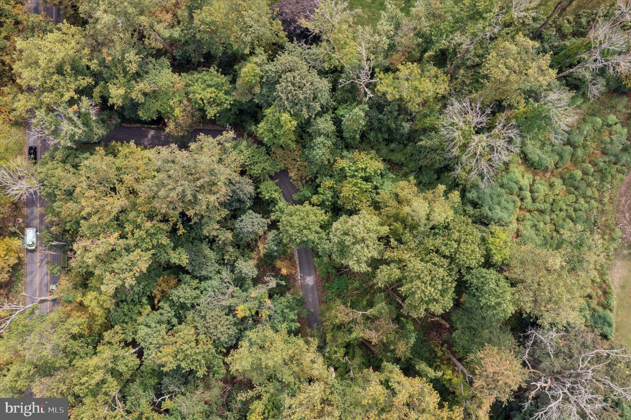 1968 Montgomery Avenue Villanova, PA 19085 - Photo 8 of 9