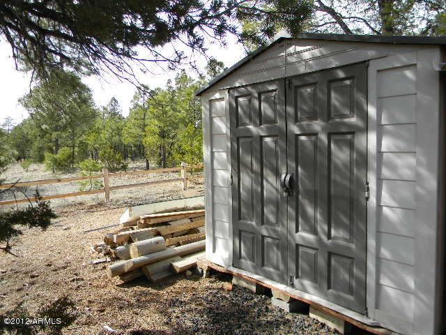 2949 Valley Forge Overgaard, AZ 85933 - Photo 15 of 20 SHED