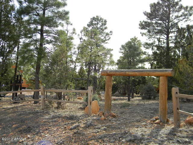 2949 Valley Forge Overgaard, AZ 85933 - Photo 17 of 20 YARD
