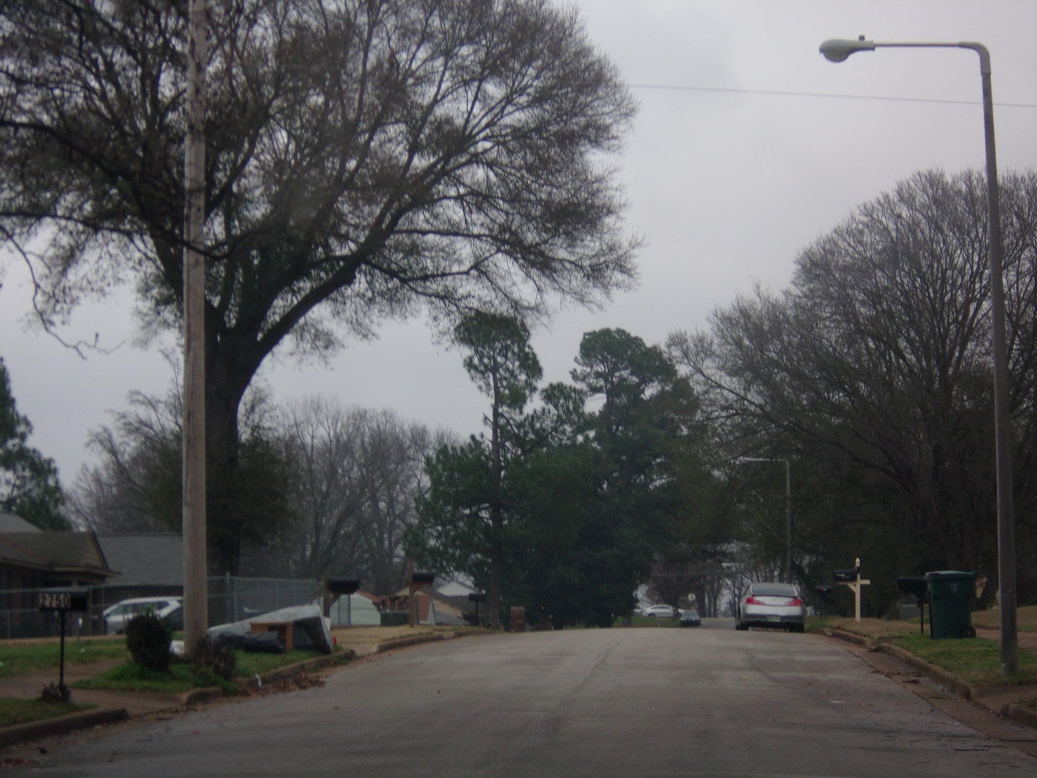 2817 Lake Park Road Memphis, TN 38127 - Photo 7 of 7 Gallery Image 7