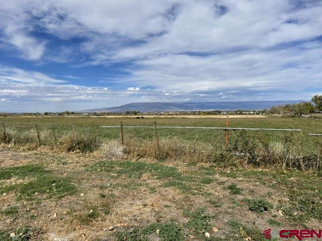 7490 6025th Road Olathe, CO 81425 - Photo 15 of 35 Gallery Image 15