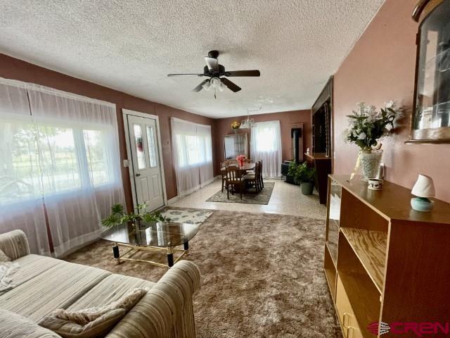 7490 6025th Road Olathe, CO 81425 - Photo 17 of 35 Gallery Image 17