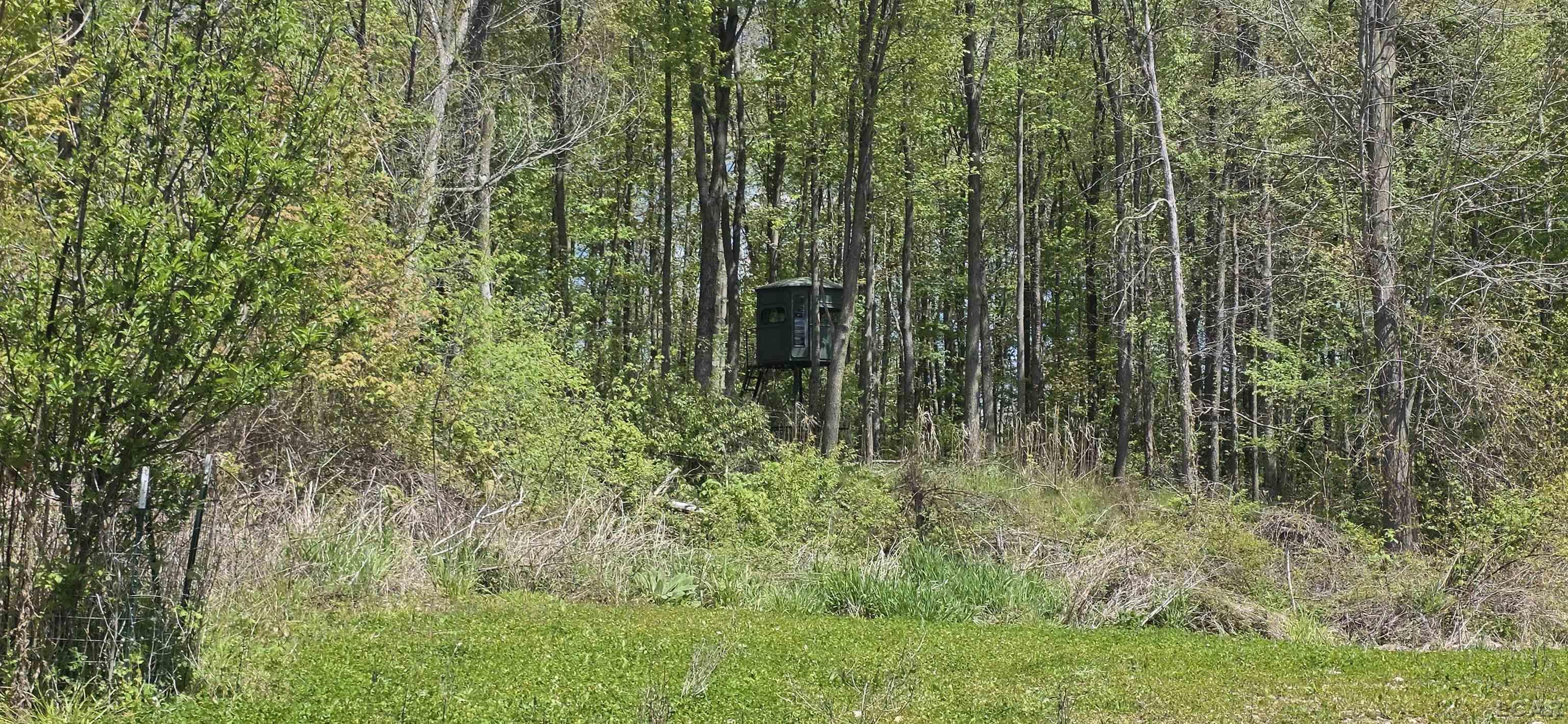15252 27 Mile Road Albion, MI 49224 - Photo 26 of 57