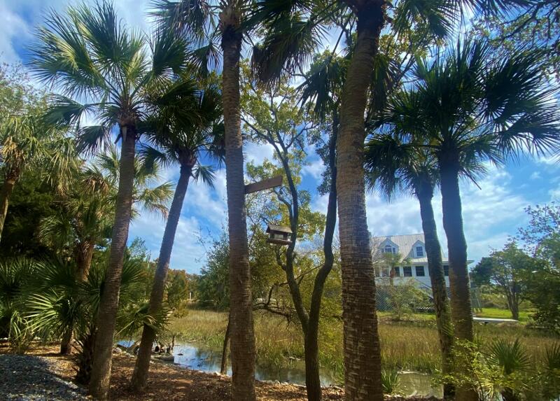 304 Jungle Road Edisto Island, SC 29438 - Photo 3 of 92 3
