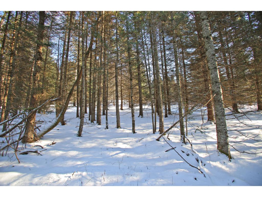 2806 Danville Hill Road Cabot, VT 05647 - Photo 12 of 29 Gallery Image 12