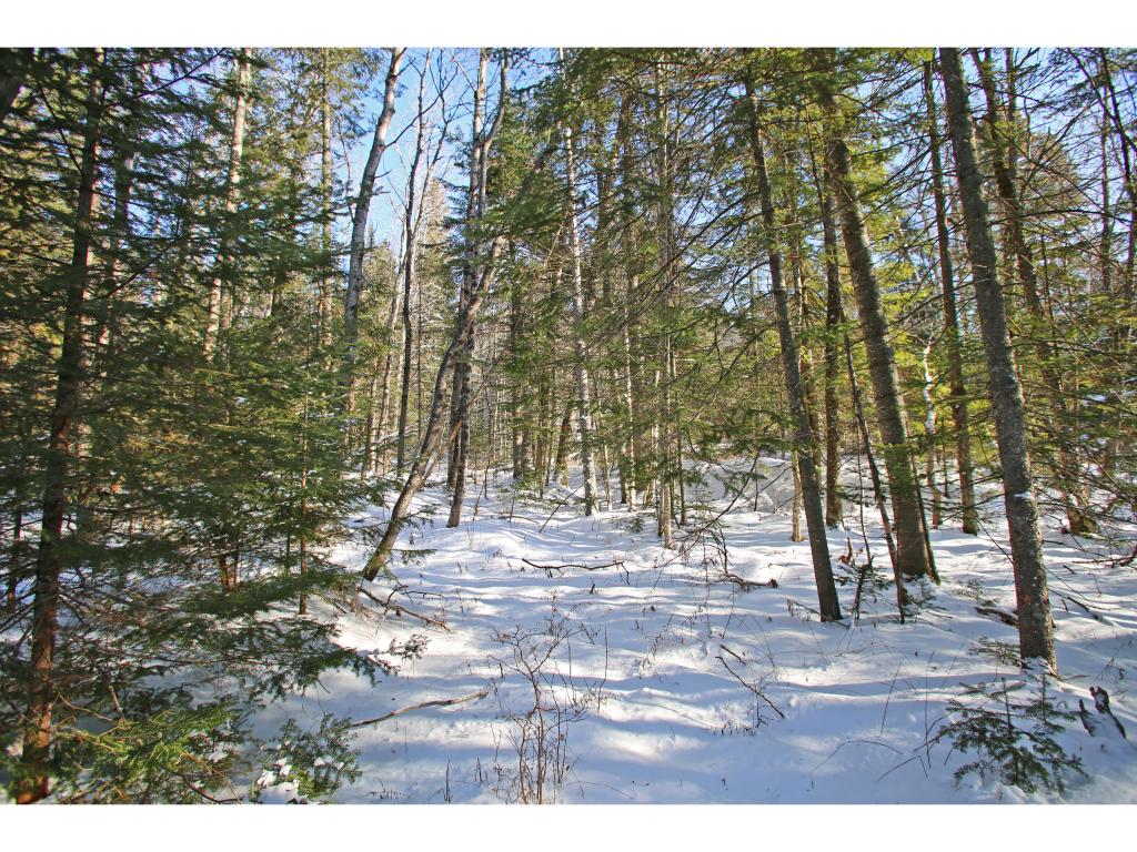 2806 Danville Hill Road Cabot, VT 05647 - Photo 14 of 29 Gallery Image 14
