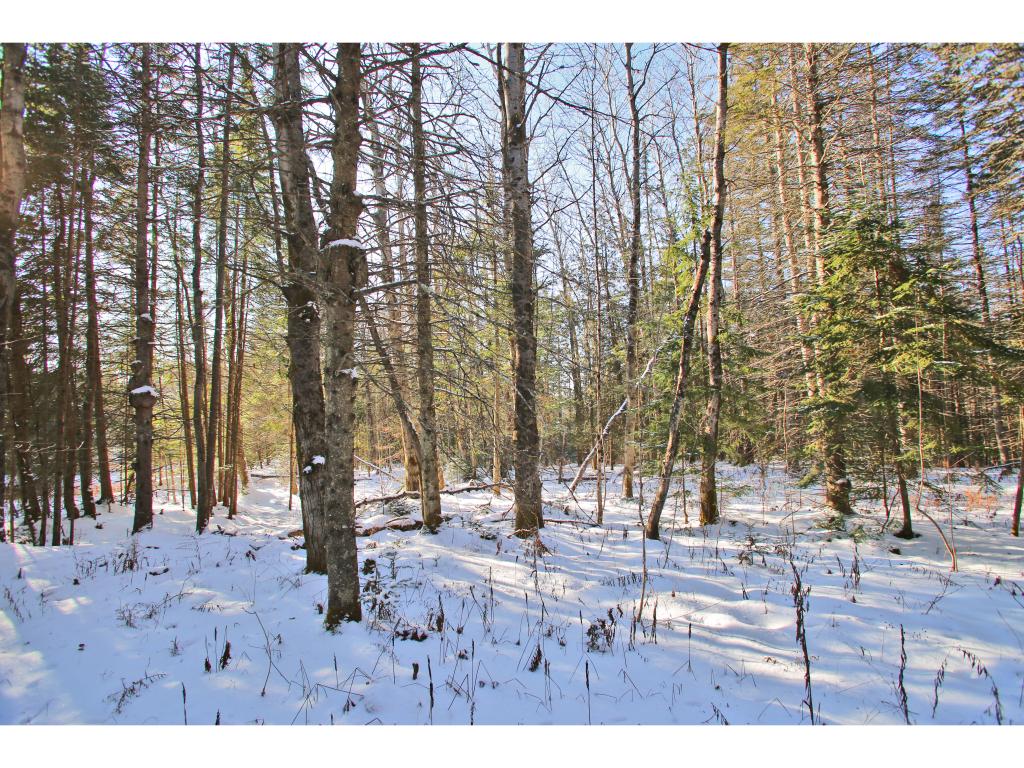 2806 Danville Hill Road Cabot, VT 05647 - Photo 15 of 29 Gallery Image 15