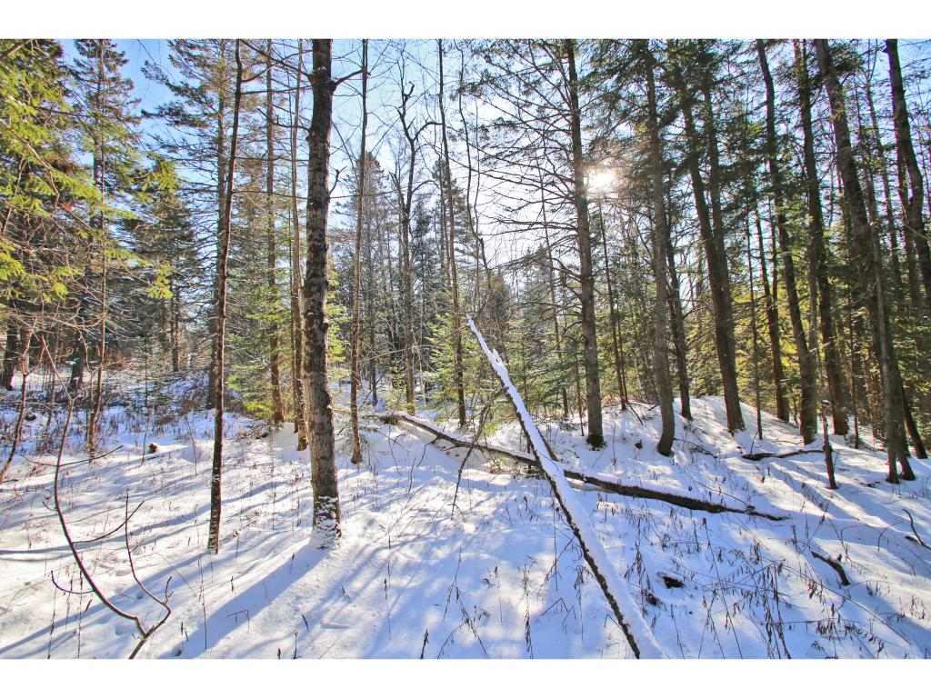 2806 Danville Hill Road Cabot, VT 05647 - Photo 16 of 29 Gallery Image 16