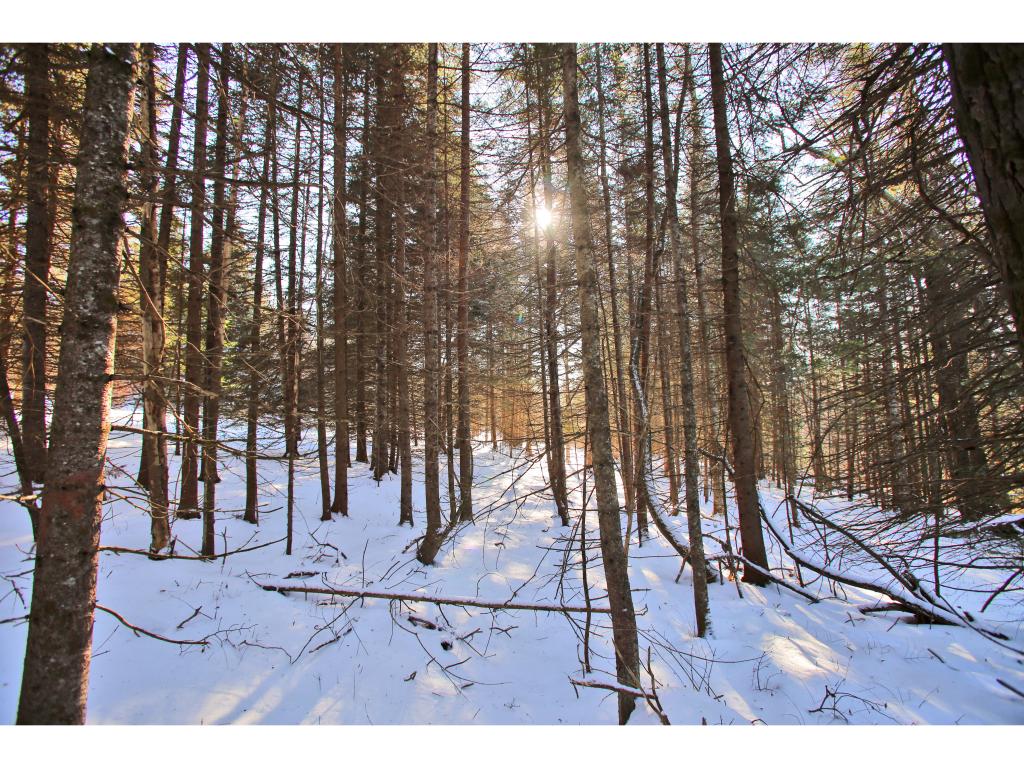 2806 Danville Hill Road Cabot, VT 05647 - Photo 17 of 29 Gallery Image 17