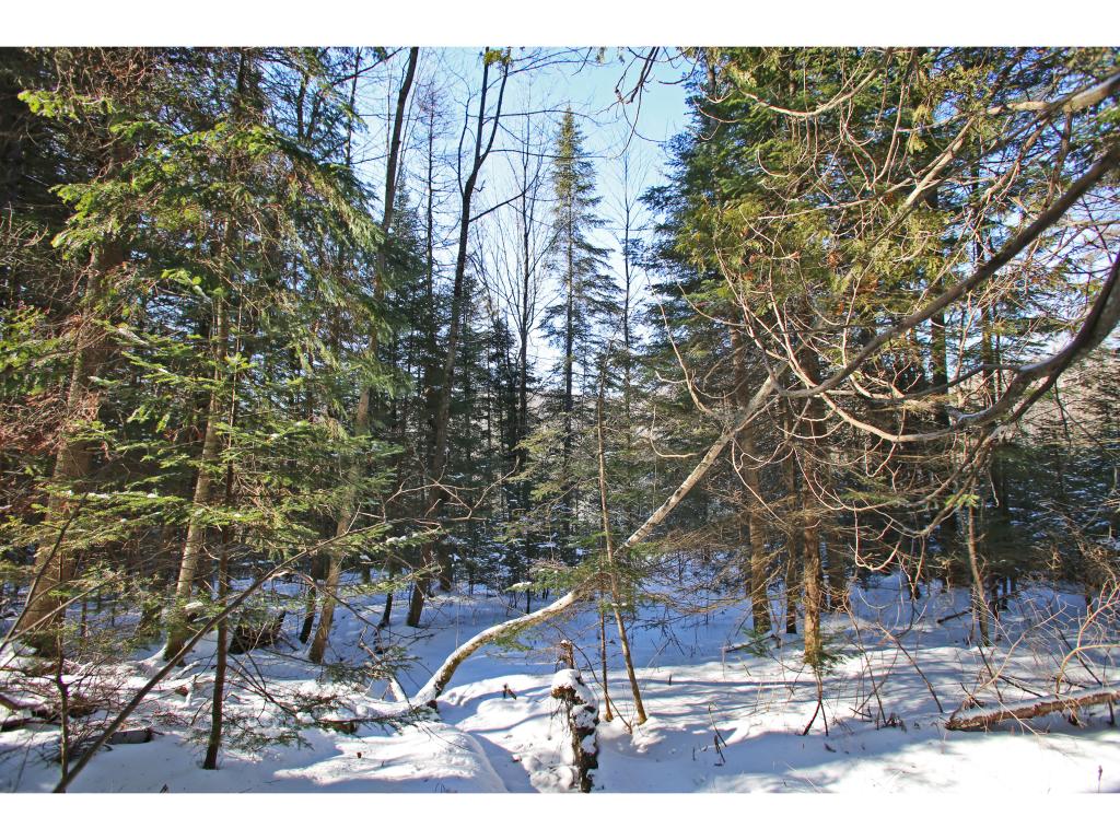 2806 Danville Hill Road Cabot, VT 05647 - Photo 19 of 29 Gallery Image 19