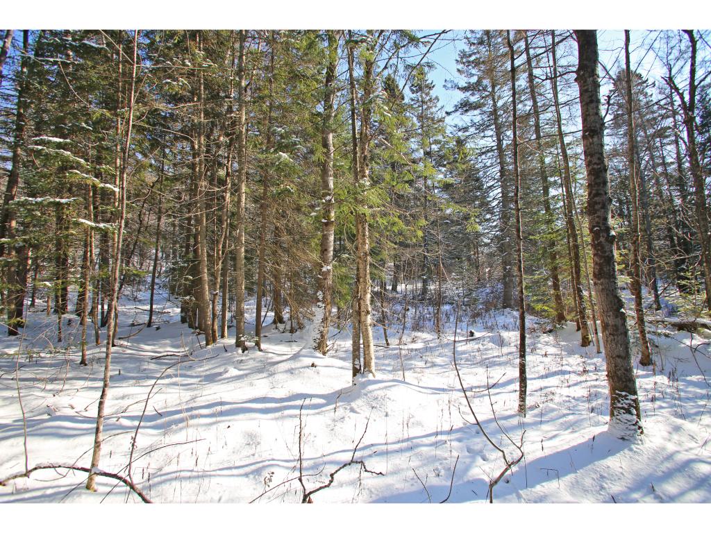 2806 Danville Hill Road Cabot, VT 05647 - Photo 20 of 29 Gallery Image 20