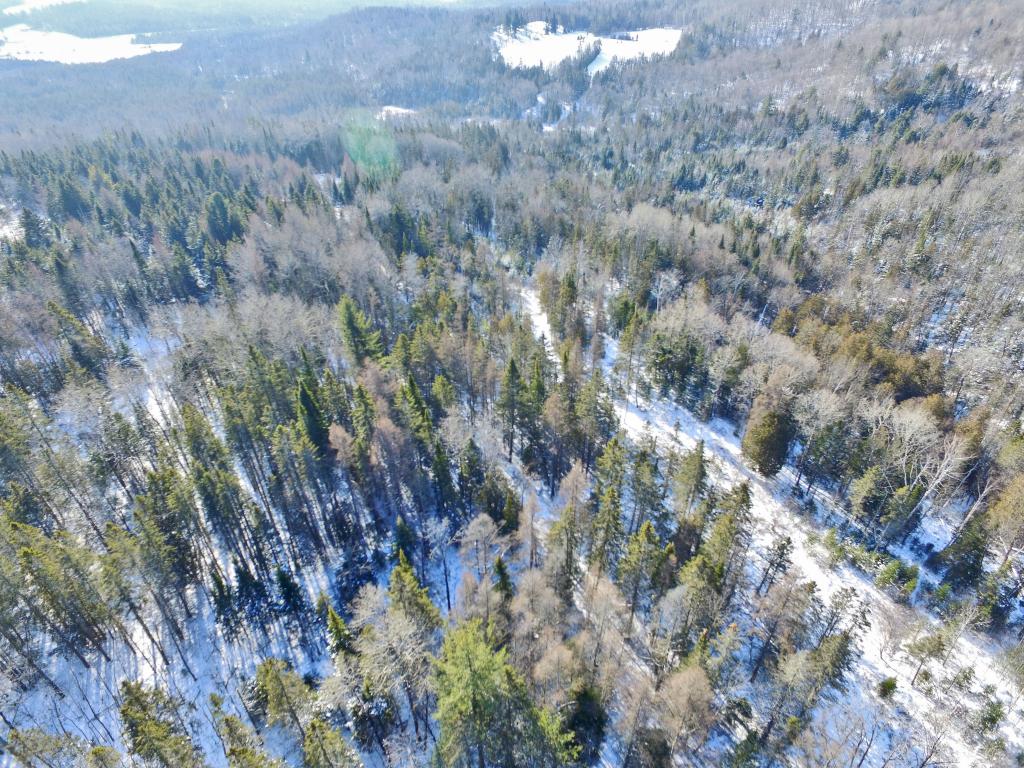 2806 Danville Hill Road Cabot, VT 05647 - Photo 3 of 29 Gallery Image 3