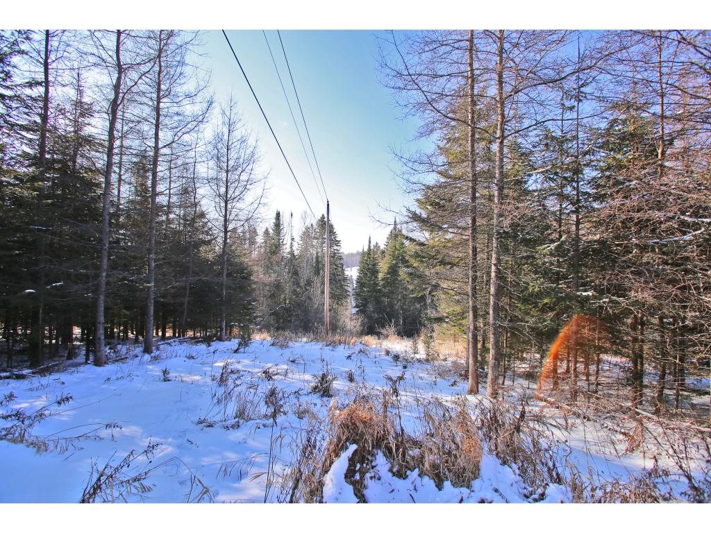 2806 Danville Hill Road Cabot, VT 05647 - Photo 22 of 29 Gallery Image 22
