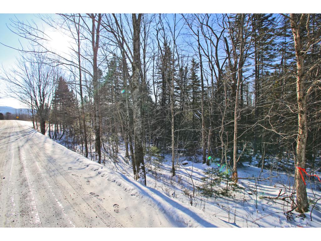2806 Danville Hill Road Cabot, VT 05647 - Photo 24 of 29 Gallery Image 24