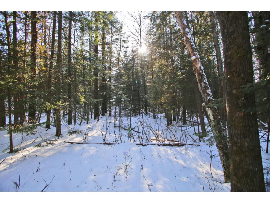2806 Danville Hill Road Cabot, VT 05647 - Photo 25 of 29 Gallery Image 25