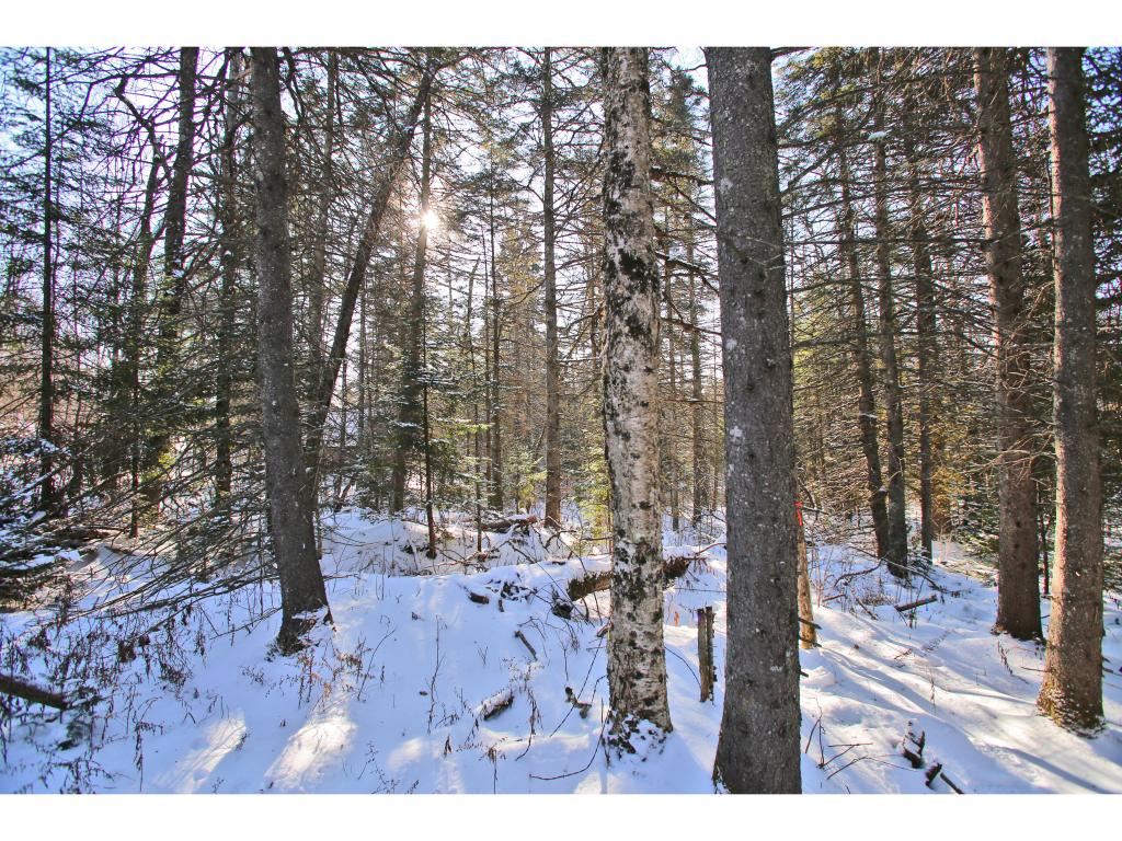 2806 Danville Hill Road Cabot, VT 05647 - Photo 26 of 29 Gallery Image 26