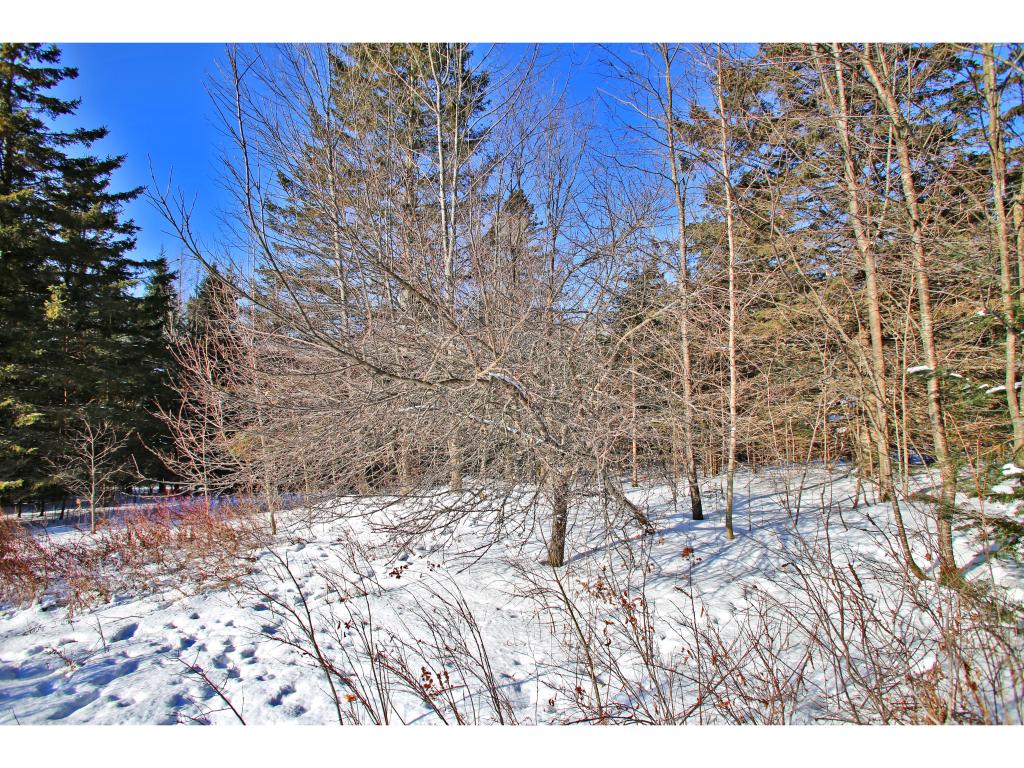 2806 Danville Hill Road Cabot, VT 05647 - Photo 6 of 29 Gallery Image 6