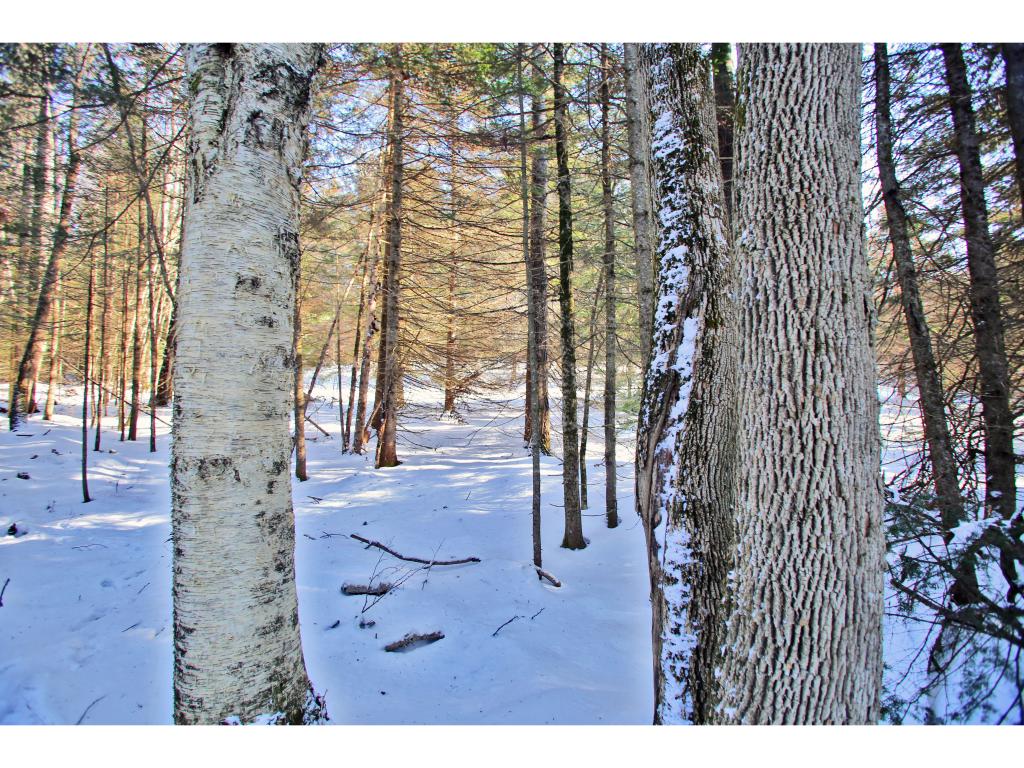 2806 Danville Hill Road Cabot, VT 05647 - Photo 10 of 29 Gallery Image 10