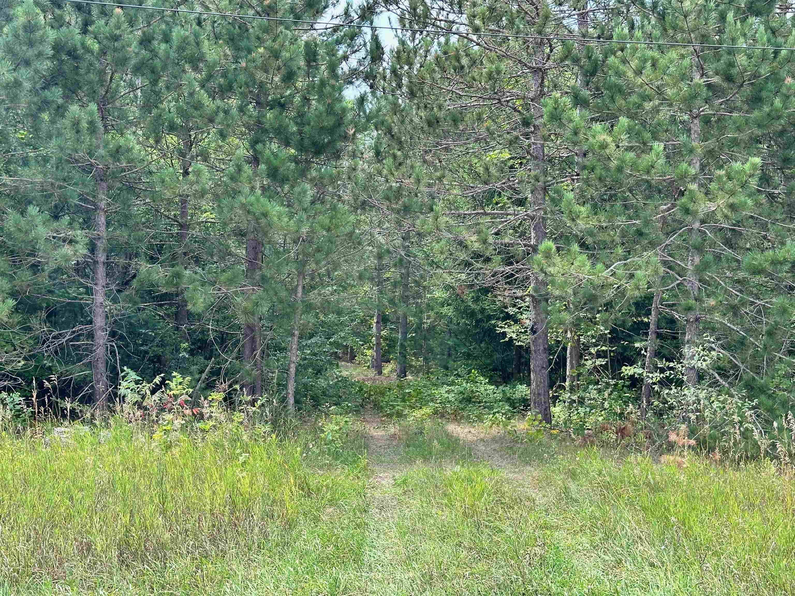 7658 Cedar River Road Mancelona, MI 49659 - Photo 1 of 24 1949521-8b503012-b885-473e-bfcc-45f5db82af23.JPG