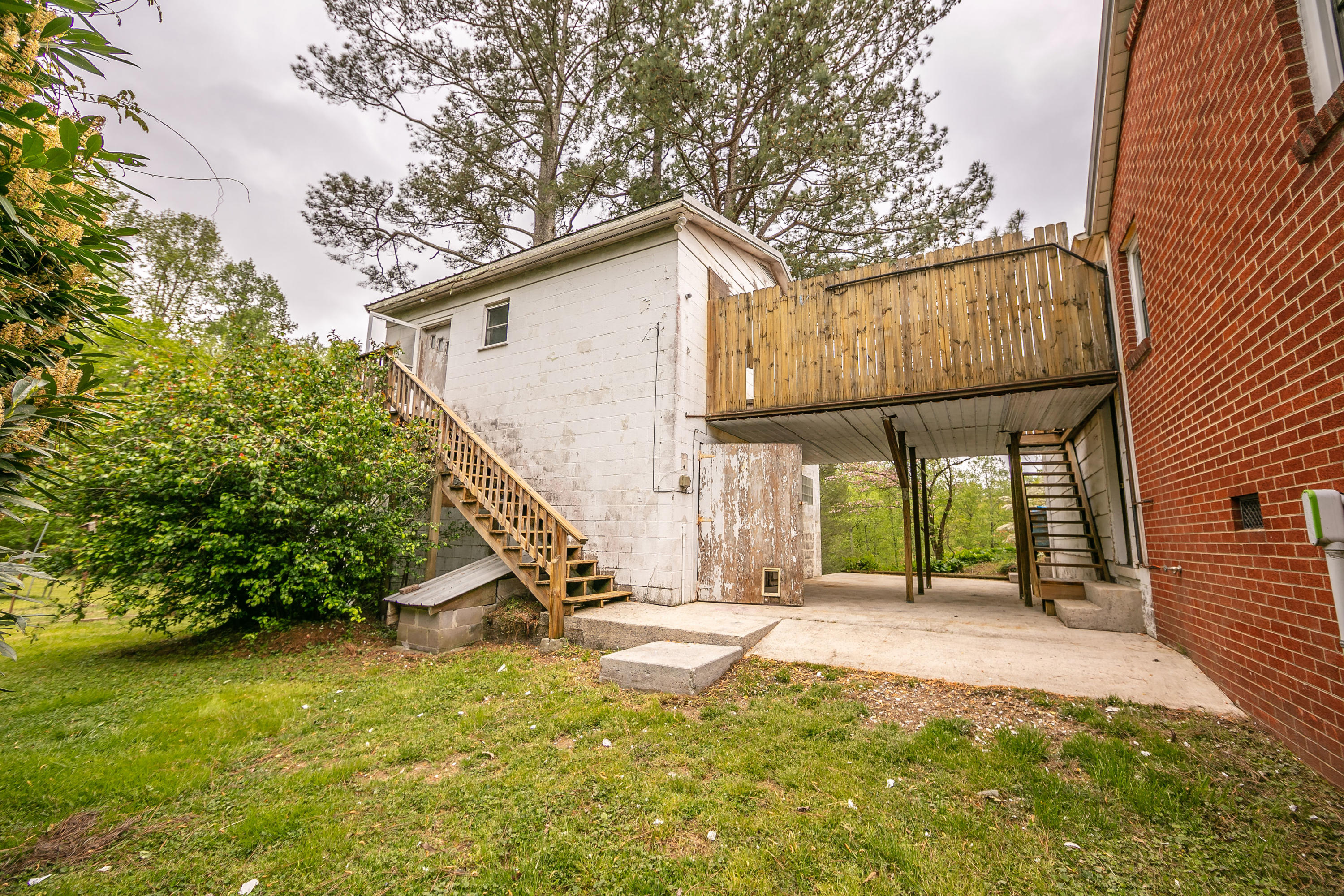 129 Chestnut Hill Road Harriman, TN 37748 - Photo 14 of 38 Kim backyard 3