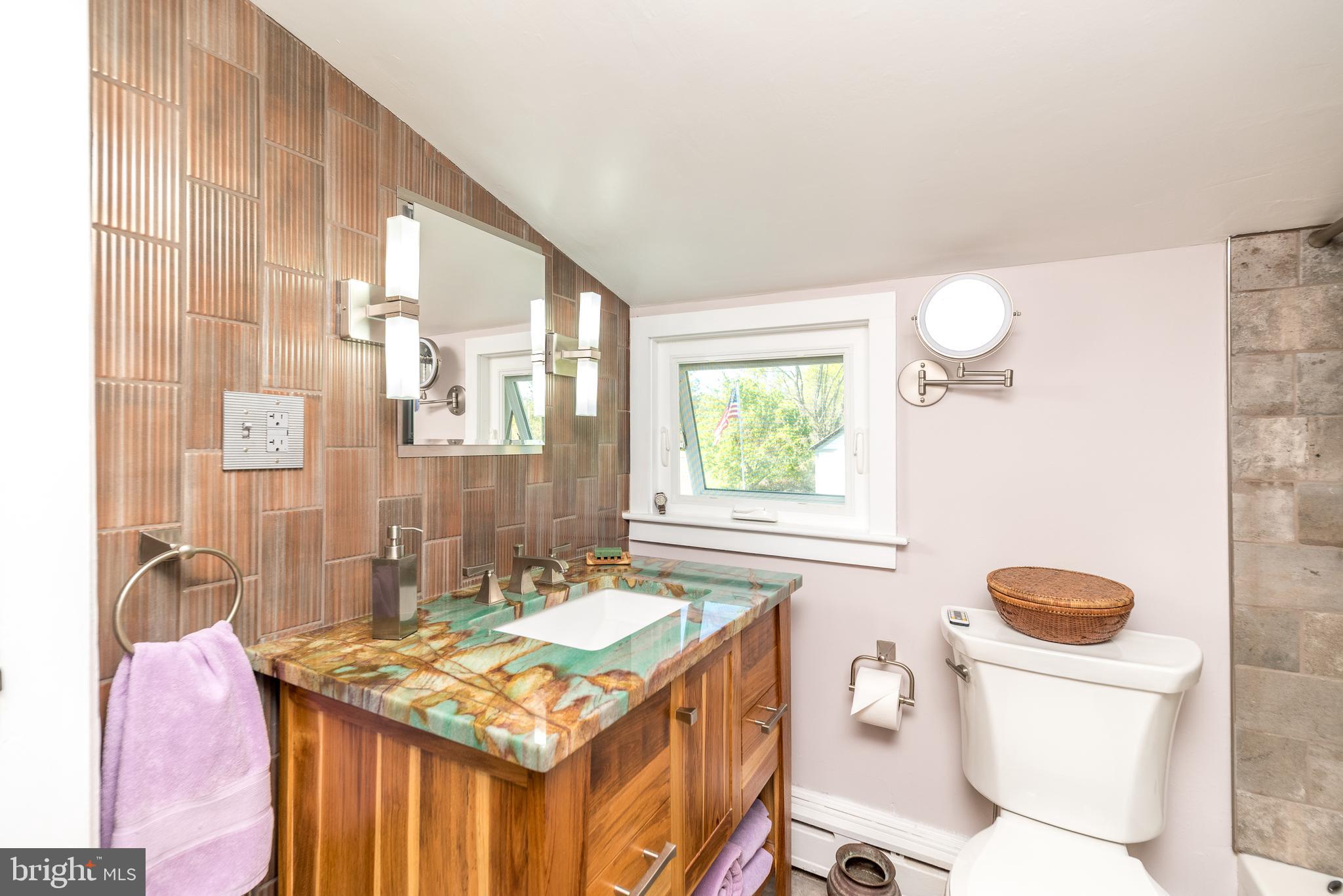 1664 Chestnut Ridge Road Upper Black Eddy, PA 18972 - Photo 9 of 45